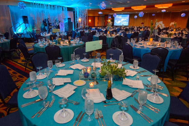 Bubbles and Bow Ties